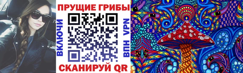 Псилоцибиновые грибы Cubensis Холмск