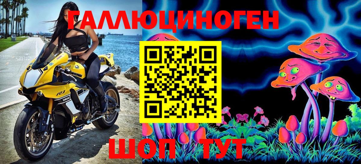 Псилоцибиновые грибы прущие грибы Холмск