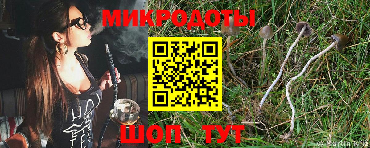 Холмск  Псилоцибиновые грибы ЛСД  Галлюциногенные грибы Psilocybine cubensis  Вход с VPN 